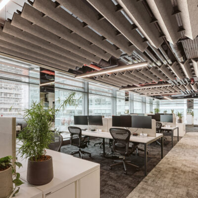 Canopy - Vertex